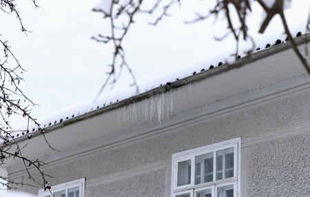 Big Icicles hang on the snow roof of a residential building in winter, dangerous for health of residentsの写真素材