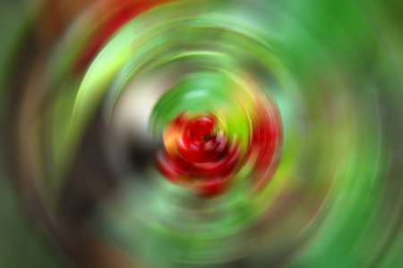 Beauty blurred background, circular abstraction of a green and red background, soft green ecological color and bright red of fruitsの写真素材