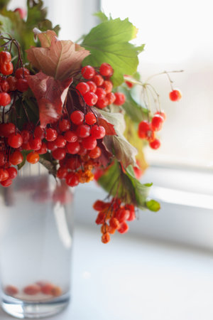 Branch with vibrant red berries and autumn leaves in a vase on windowsill. Shot with a shallow depth...