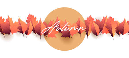 Autumn seasonal graphic element with autumn leaves illustration forming straight line of leaves on white backdrop with circle sun behind for copyのイラスト素材