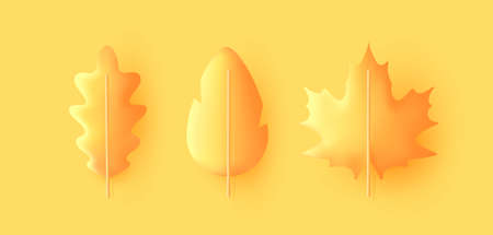 Autumn leaves set, isolated on a yellow background, 3d render graphic style, oak and maple leavesのイラスト素材