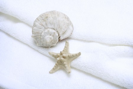 soft white towel with starfish and a seashell on itの写真素材
