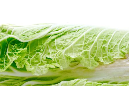 lettuce isolated on the whiteの写真素材