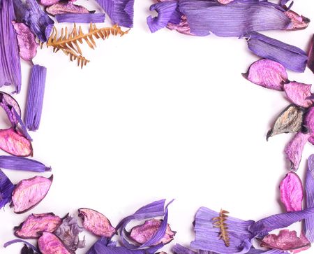 frame made of dry flowersの写真素材