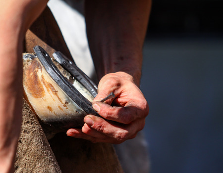 hammering the horseshoe close upの写真素材