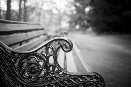 Bench in the park closeup in monochrome tonesの写真素材