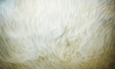 Natural fleece detailed textureの写真素材