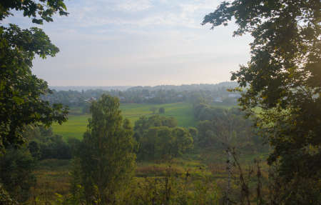 Texture of a wooden wallの写真素材