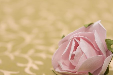Delicate paper rose on light olive backgroundの写真素材