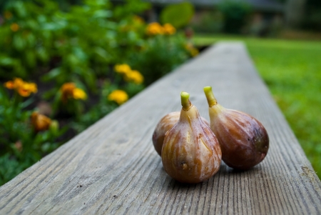 Three Figs on a Wooden Plank by the Gardenの写真素材