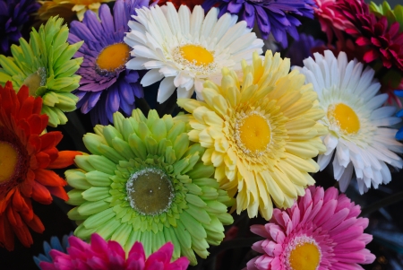 Daisies for Sale at the Farmers Marketの写真素材