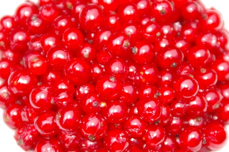 detail of red currantsの写真素材