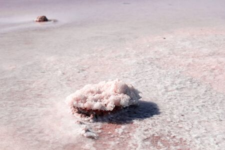 Stones covered by natural pink salt crystals, close up. Salty lake shore background. Spain, Torrevieja.の写真素材