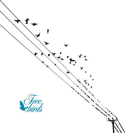 Birds on wires. Vector illustrationのイラスト素材