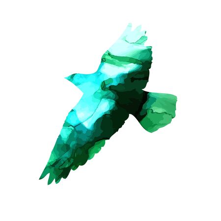 Bird abstract watercolor silhouette. Vector illustrationのイラスト素材