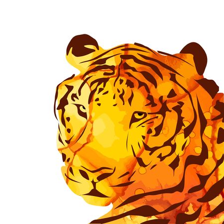 The tiger's head. Vector illustrationのイラスト素材