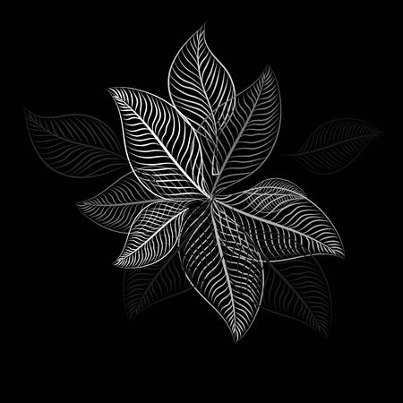 Abstract background dry leaf with autumn, illustration design.のイラスト素材