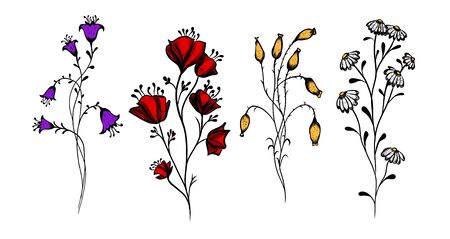 A set of wildflowers. Vector illustrationのイラスト素材