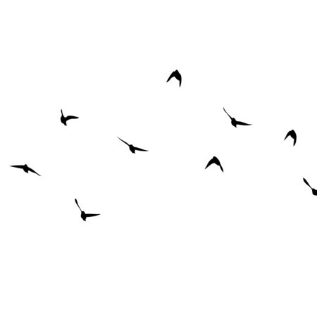 A flock of flying birds. Vector illustrationのイラスト素材