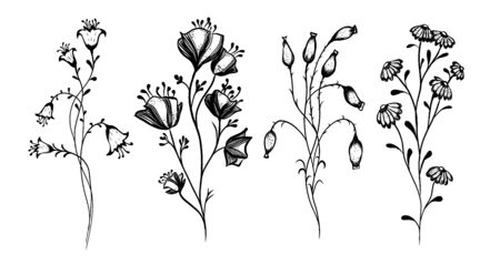 A set of wildflowers. Vector illustrationのイラスト素材