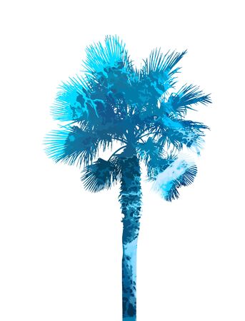 Abstraction of watercolor palms. Vector illustrationのイラスト素材