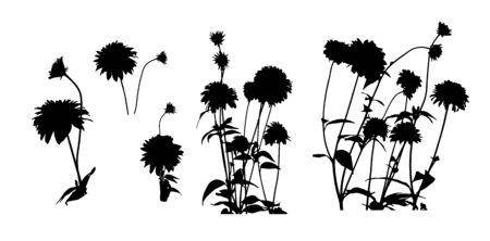 Set of silhouettes flowers isolated on white. Vector illustrationsのイラスト素材