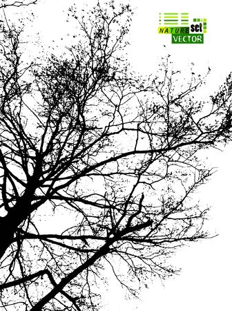 The silhouette of the landscape of nature. Vector illustrationのイラスト素材