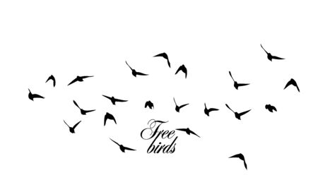 A flock of flying silhouette birds. Vector illustrationのイラスト素材