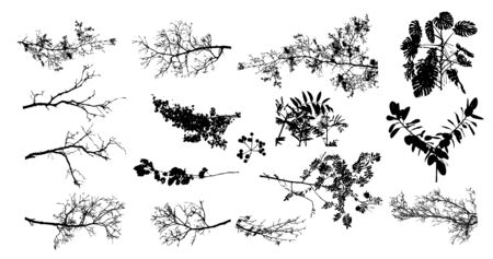 A set of tree sprigs. Vector illustrationのイラスト素材