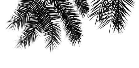 The silhouette of palm trees. Vector illustrationのイラスト素材