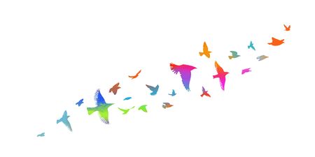 Bird watercolor. A flock of colorful birds. Vectorのイラスト素材