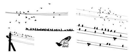 A flock of flying birds. Vector illustrationのイラスト素材