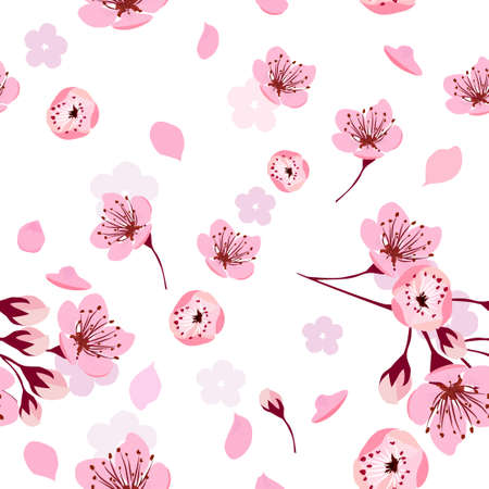 A seamless background of sakura. Vector illustrationのイラスト素材