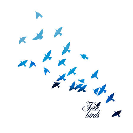 The silhouette of flying swallows. Vector illustrationのイラスト素材