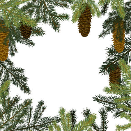 Frame background of spruce twigs with cones. Vector illustrationのイラスト素材