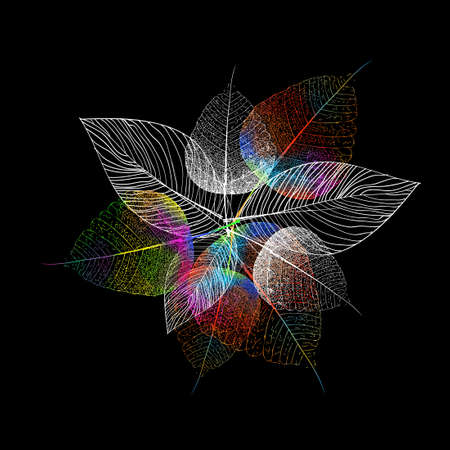 Abstraction of autumn leaves. Bouquet of multicolored abstract leaves. Vectorのイラスト素材