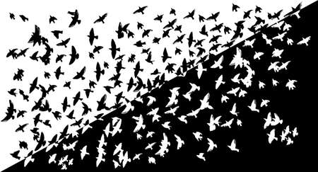 A flock of flying birds. Vector illustration