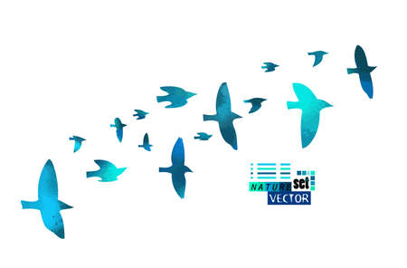 Bird watercolor. A flock of colorful birds. Vectorのイラスト素材