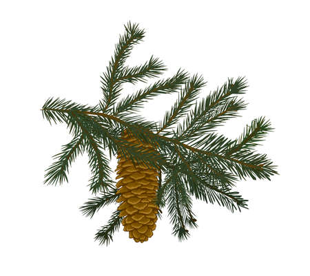 bump on fir branch vector illustration Christmas New Year 2020 winterのイラスト素材