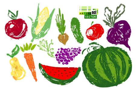 Vegetable set in vector. Harvest and Thanksgiving fruit of nature, food collection for restaurants, menus, posters and grocery bags: bell pepper, eggplant, radish, mushroom, carrot. Graphics and colorのイラスト素材