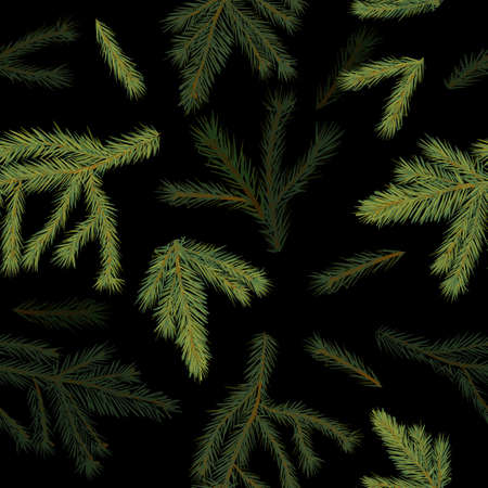 A set of cones and spruce branches. Vectorのイラスト素材