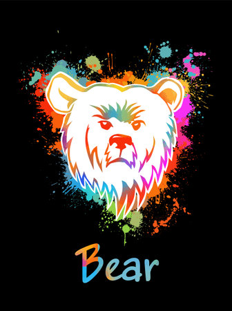 bear flat animal vector illustrationのイラスト素材