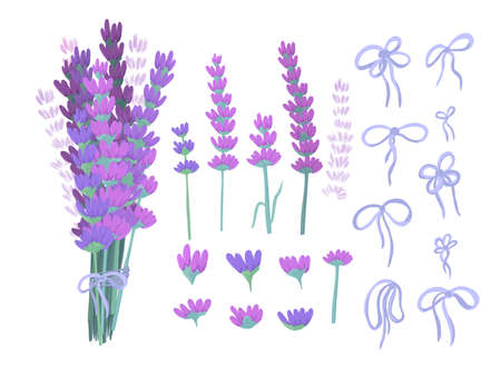 lavender bouquet background. Frame with hand painted vintage plants. Vector illustration.のイラスト素材