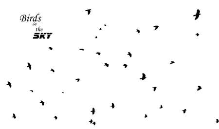 A flock of flying birds. Vector illustrationのイラスト素材