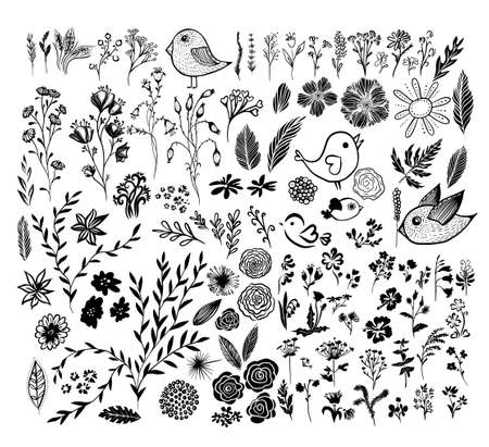 A set of monochrome floral elements. Vector illustrationのイラスト素材