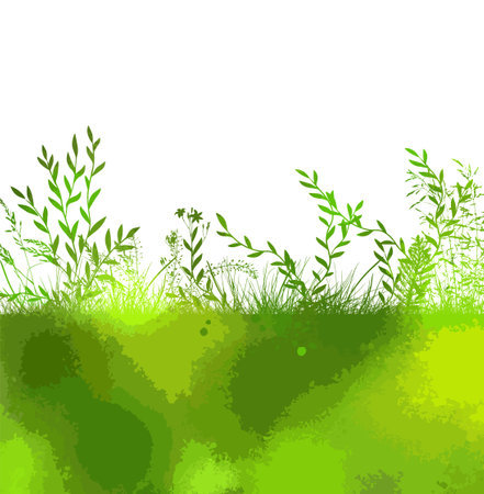 Abstract background with green silhouettes of meadow wild herbs and flowers. Wildflowers. Floral background. Wild grass. Vector illustration.のイラスト素材