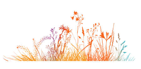 Abstract background with colorful silhouettes of meadow wild herbs and flowers. Wildflowers. Floral background. Wild grass. Vector illustration.のイラスト素材