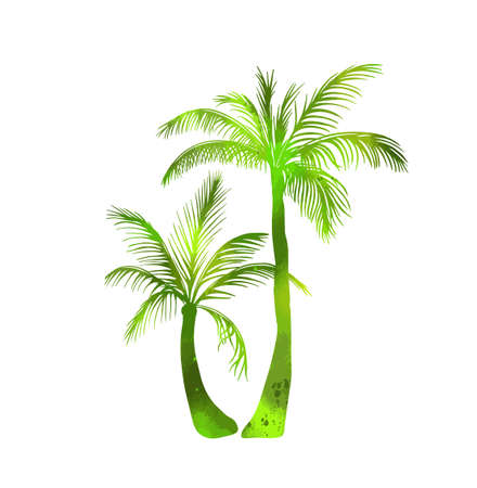 abstract green vector palm tree. Hello summer. Mixed media. Vector illustrationのイラスト素材