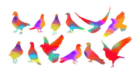 Bird watercolor. Set Colorful pigeons. T-shirt print. Vector illustrationのイラスト素材