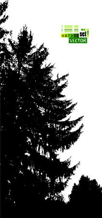 Background with silhouettes of trees. Tall spruce. Vertical view of nature. Vector illustrationのイラスト素材